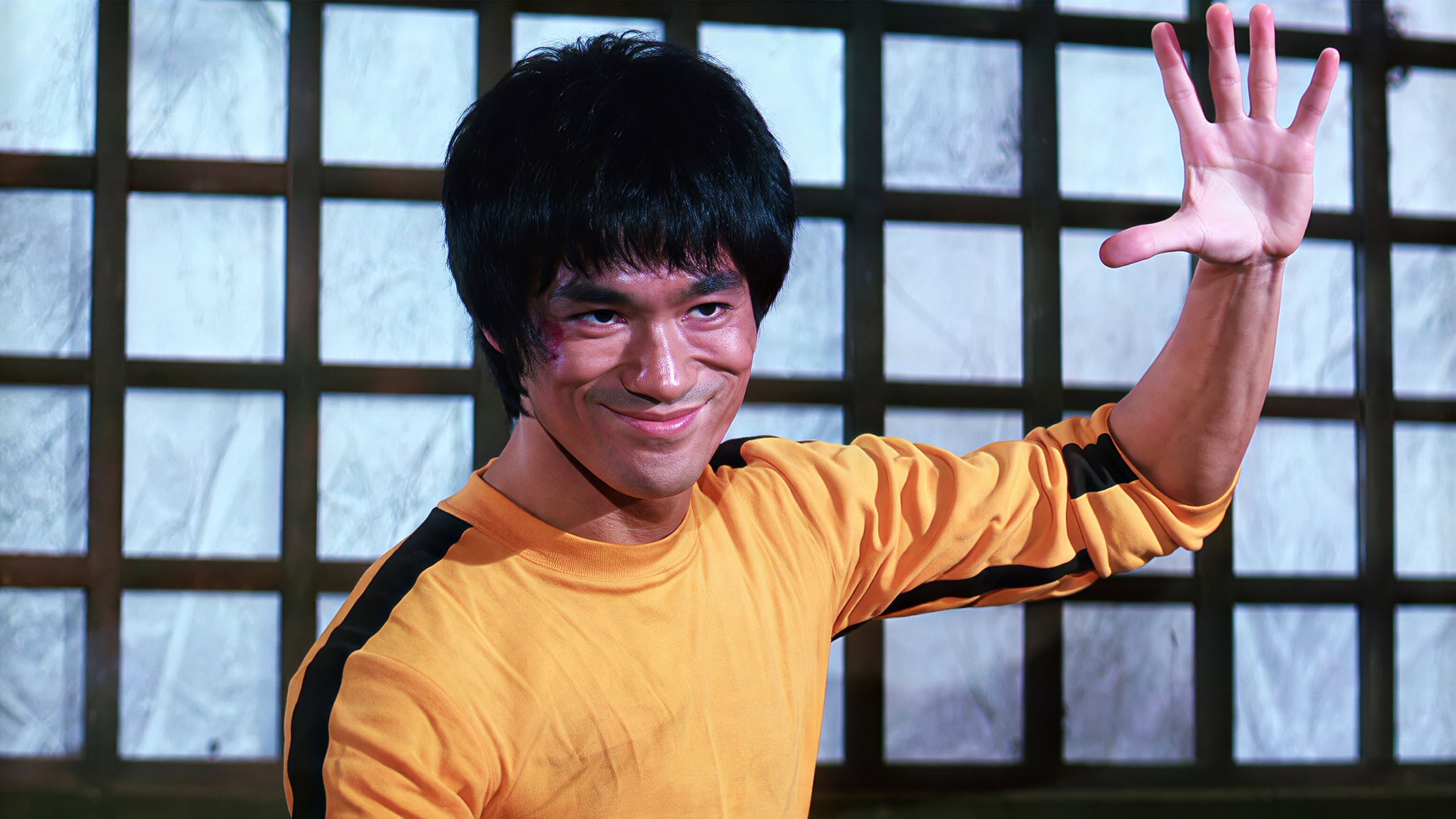 Bruce Lee: A Warrior's Journey