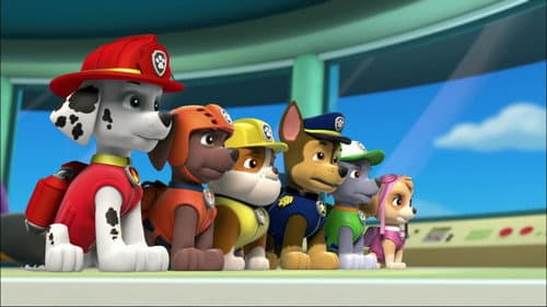 Pups Save Ryder's Robot
