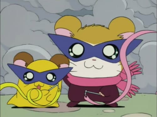 The Little Bandits!