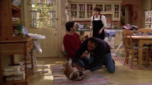 The Dog