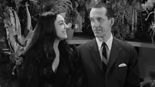 Morticia, the Matchmaker