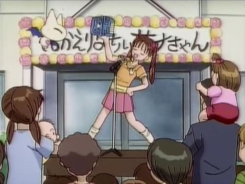 Could Be a Small-Size Hayama