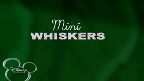 Mini Whiskers