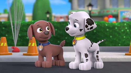 Pups Great Race