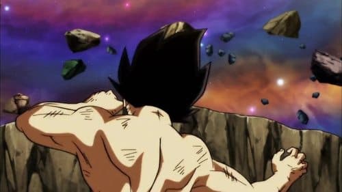To the Noble, Proud End! Vegeta Falls!