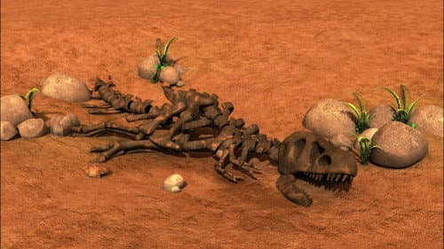 Fossil Fred
