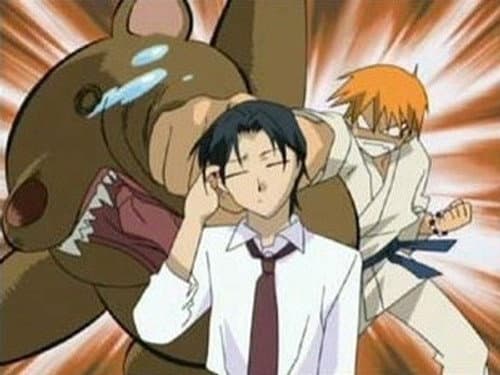 The Sohma Curse