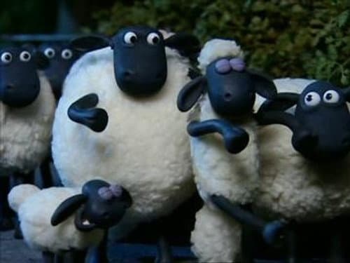 Sheepwalking