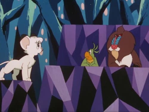 Jungle Justice