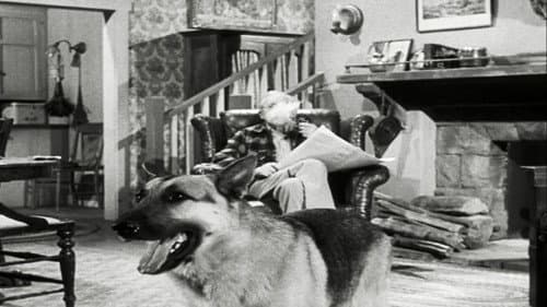 The Case of the Lazy Lover
