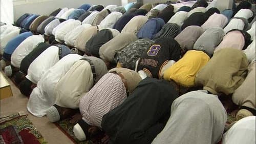 Saitama: The Muslim Next Door