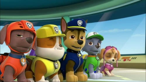 Pups Save the Bunnies