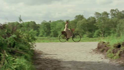 The Solitary Cyclist