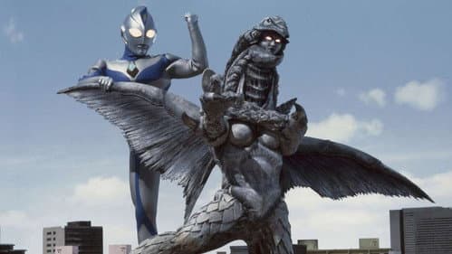 Bird of the Phantom Dream
