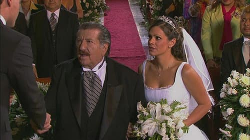 The wedding day [El día de la boda - Episode 172]