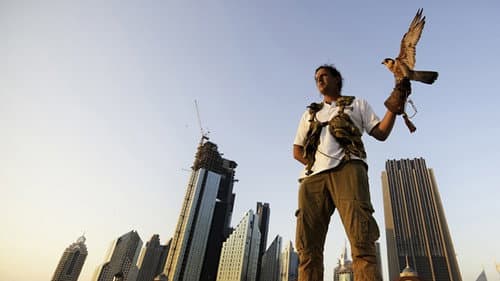Cities: Surviving the Urban Jungle